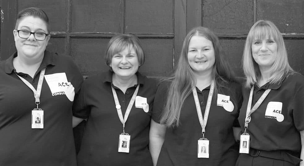The ACE-SEN Consultancy team